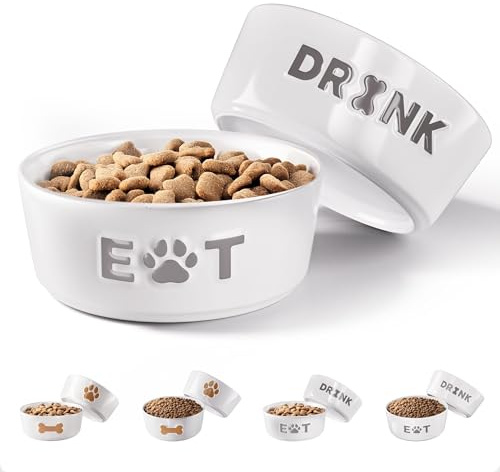 Ceramic Dog Bowl Set of 2 with Anti-Skid Base - 5.5 Wide x 2 Tall Ceramic Dog Bowls for Small Dogs - 2 Cup Capacity Food and Water Bowls for Dogs - Rubber Bottom Pet Bowl Set of 2 for Small Pets