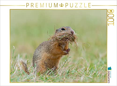 CALVENDO Puzzle Bild 6 | 1000 Teile Lege-Größe 64 x 48 cm Foto-Puzzle für glückliche Stunden