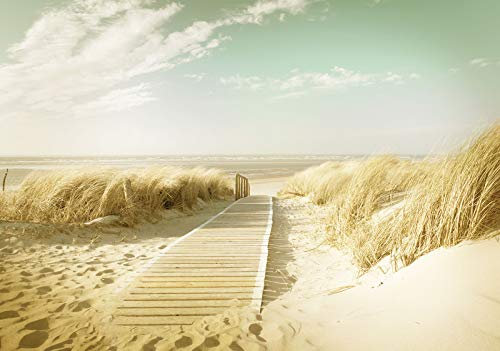 Forwall - Vlies Fototapete Strand Meer Ostsee Gras beige Natur Dünen Landschaft 368x254 cm - Fototapeten - Tapeten - für Wohnzimmer Schlafzimmer - Vliestapete Wandtapete Tapete - inkl. Kleister