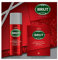 Brut Coffret Cadeau Homme Attraction Totale avec Eau de Toilette Attraction Totale 100ml et Déodorant 200ml, Parfum boisé et raffiné, Idée cadeau à offrir x1