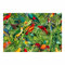 Bilderwelten Fototapete Botanik Collage Papageien Dschungel 255x384 cm Vlies-Tapete XXL Smart Wandtapete Wanddekoration Wohnzimmer Schlafzimmer