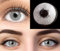 GLAMLENS Pisa Gray Grau + Behälter | Sehr stark deckende natürliche graue Kontaktlinsen farbig | farbige Monatslinsen aus Silikon Hydrogel | 1 Paar (2 Stück) | DIA 14.20 | -3.25 Dioptrien
