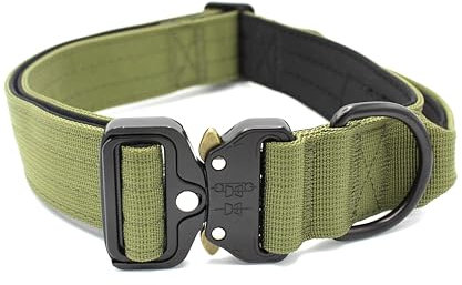 Paulde Hundehalsband mit Griff und Metall-Schnalle, Verstellbar, Hochwertig und Strapazierfähig, Ideal für Training und Alltag (Olivgrün, M: 35-45 cm, Breite 3,8 cm)