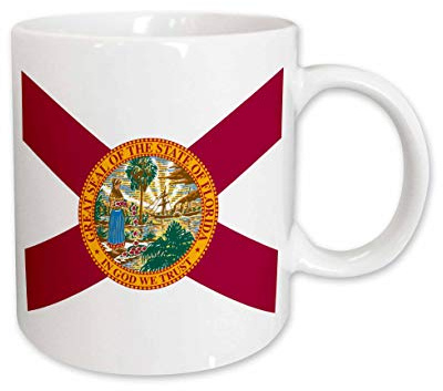 Kaffeetasse Bedruckt Kaffeebecher 330Ml, Flagge Von Florida Tasse Personalisiert Für Büro Kollegin Tee