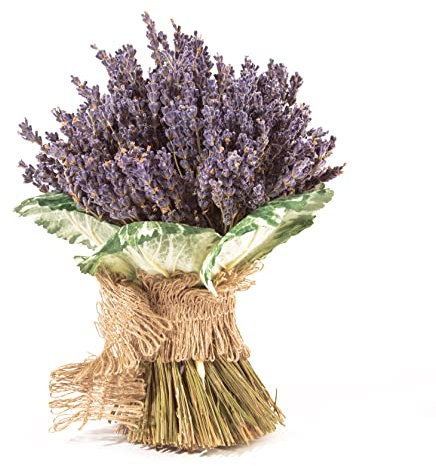 Getrockneter Lavendel aus der Provence Lavendelstrauß Lavendelbund mit ca. 600 Stiele Trockenblumen Raumduft Deko Ernte August 2023