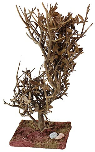 mitienda mit Liebe gemacht Krippenbotanik Ölbaum verknorpelt 26 cm