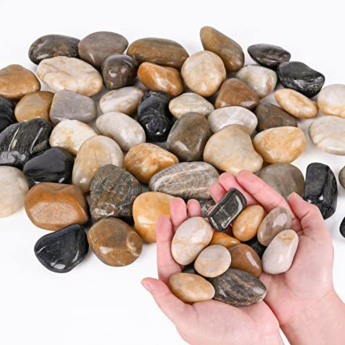 Galets pour plantes d'intérieur de 1,1 kg, petites pierres de rivière de 2,5 à 3,8 cm, pierres décoratives polies lisses pour aquarium, vases, jardinières, aménagement paysager extérieur, jardin