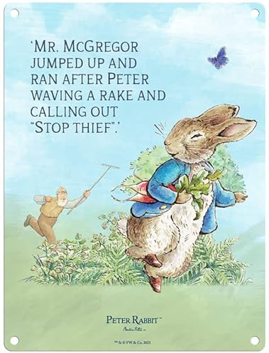 Metal Sign - Beatrix Potter's Peter Rabbit (Peter Rabbit - Mr McGregor jumped up and ran after Peter, 15 x 20 cm)