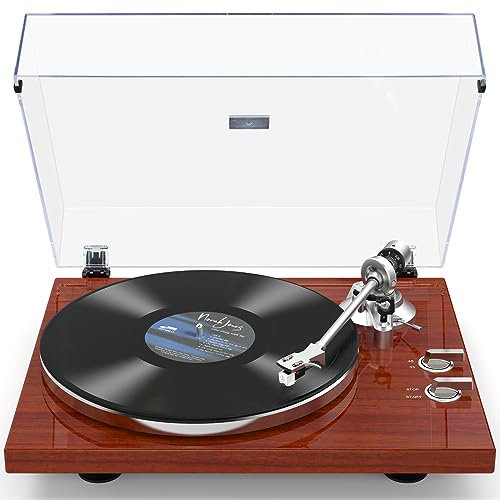 Giradischi Vinili Trasmissione a Cinghia con Connettività di Uscita Wireless, Lettore con Contrappeso Regolabile Giradischi Bluetooth vintage