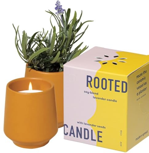 Modern Sprout Soy Candle Planter - Grows Lavender - Cedarwood Scent - 6 oz