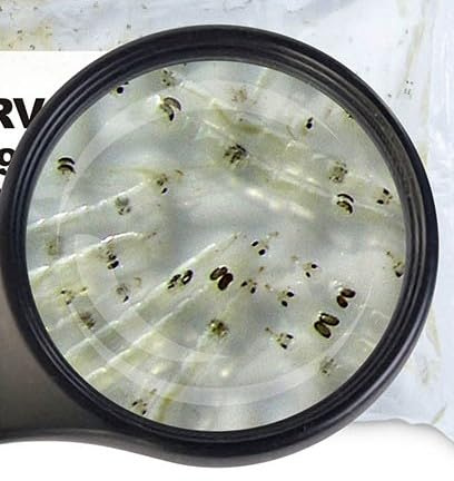 Lebendfutter Fischfutter SAHAWA 5 x 90ml Weiße Mückenlarven