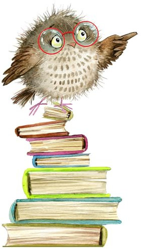 HGDESIGN® Wandtattoo Wandaufkleber Eule auf Bücher Buch Kinderzimmer Babyzimmer Arbeitszimmer Wohnzimmer Schlafzimmer Kind Baby Junge Mädchen Wandsticker Selbstklebend Wanddeko (A)