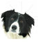 15cm! Aufkleber-Folie Wetterfest Made IN Germany Border Collie T03-UV&Waschanlagenfest-Auto-Sticker Decal Profi Qualität farbig Digital-Schnitt!