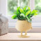 COTYNI Pots de fleurs en résine avec trou de drainage, pour plantes grasses, 12,7 cm pour plantes d'intérieur, pots de fleurs mignons en résine avec trou de drainage, pot de cactus unique, petits pots