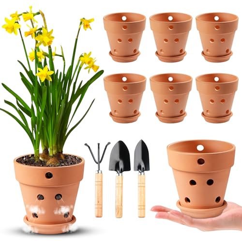 4 Inch Terracotta Orchid Pots with Holes and Saucers - 6 Pcs Small Terra Cotta Clay Orchid Planter Pots for Plant Flower Pots for Orchid Indoor and Outdoor Promotes Air Circulatio (6, 4 Inch)