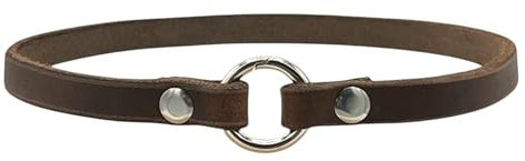 Markenhalsband Classic aus Leder für Hunde- oder Steuermarken | dünn & leicht (Braun)