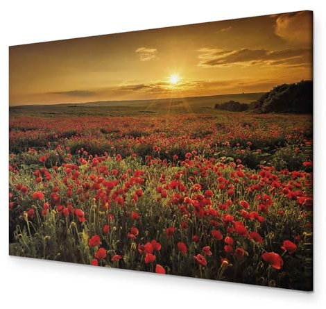 murando - Akustikbild Mohnblumen Feld 120x80 cm 1 tlg Bilder Akustikschaum Schallschutz Kunst Akustikpaneele Wandpaneele Schalldämmung Wandbild Schallabsorber Landschaft Natur c-B-0639-b-a