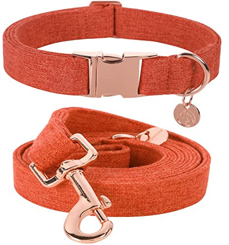 DOGWONG Hundehalsbänder Orange, Hundehalsbänder und Leine aus Orange hundehalsband, Bequeme verstellbares Hundehalsband für kleine mittelgroße Hunde