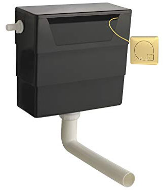 Balterley Concealed Cistern with Dual Flush, Water Saving Side Inlet Concealed Toilet Cistern & Square Flush Plate for Back to Wall & Wall Hung Toilets - 303x136x334mm (Brushed Brass/Black)