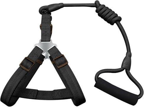 Neu Hundegeschirr mit Leine für Große mittelgroße Hunde, Weich Gepolsterter Brustgeschirr mit 2 Leinenclips, 120cm Hundeleine für Kleine, Mittlere & Große Hunde (Schwarz, M)