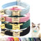 Katzenhalsband mit Namen Halsband Katze Airtag GPS Tracker,Samt Personalisiert Katzenhalsbänder mit Glocke