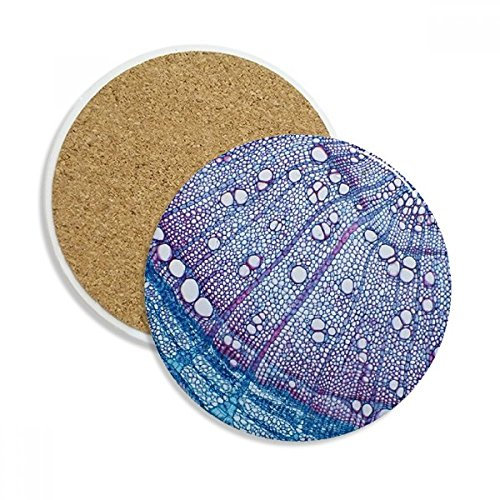DIYthinker Wissenschaft, Pflanze, Blau Zelle Muster Ceramic Coaster-Schalen-Becher-Halter Absorbent Stein für Getränke 2ST Geschenk Mehrfarbig