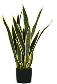 King Collection PIANTA SANSEVIERIA H. 75 cm 21 FOGLIE