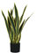 King Collection PIANTA SANSEVIERIA H. 75 cm 21 FOGLIE