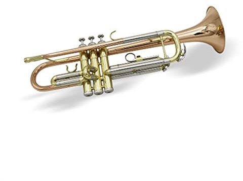 Messing Trompeten B-Trompete Instrument Trompete Phosphorbronze Versilbert Anfänger-Erwachsenen-Performance-Band (Color : 2)