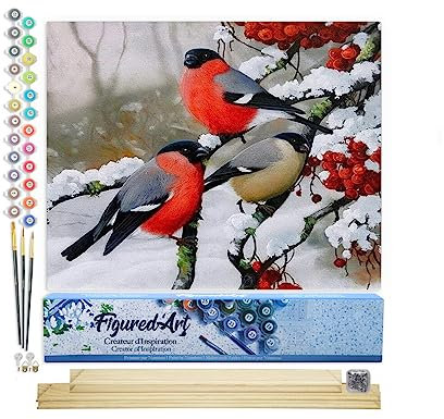 Figured'Art Peinture par Numéro Adulte Rouge Gorge sous la Neige - Activité Manuelle Kit de Loisir Créatif DIY Numéro d'Art Complet - 40x50cm avec châssis en bois à monter