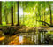 murando - Vlies Fototapete Wald 400x280 cm - Foto Tapete Schlafzimmer Wohnzimmer Moderne Vliestapete XXL Wandtapete Motivtapeten Bildtapete 3d Effekt Wand Dekoration - Sonnenschein c-B-0241-a-a