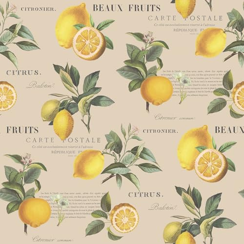 Galerie G45410 - Just Kitchens Citron Botanical Taupe Wallpaper