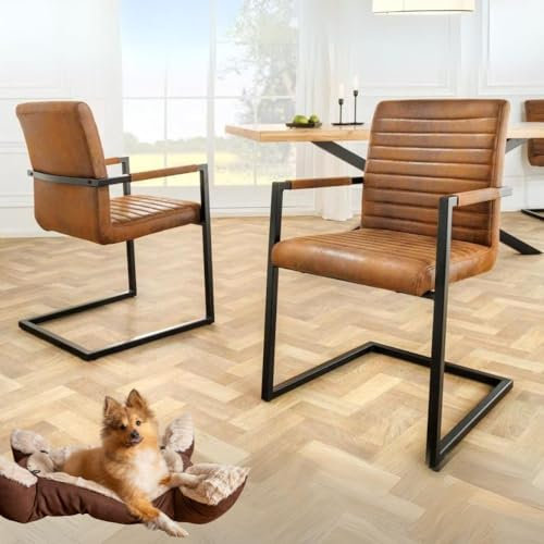 LEBENSwohnART 2er Set Freischwinger MENGA Vintage-braun Industrial-Look schwarzes Metallgestell Armlehnen Retro