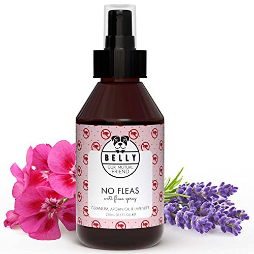 Belly Flohmittel für Hunde - 250ml - Floh- und Zeckenschutz ohne Flecken oder Rückstände, Flohspray wehrt Flöhe, Zecken und Mücken ab, vegan