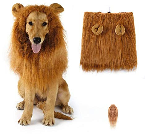 Sunreek Löwenmähne-Perücke, Löwen-Kostüm für mittelgroße bis große Hunde, mit Ohren und Schwanz, Halloween-Kostüm, für Fotoshootings & Partys