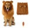 Sunreek Löwenmähne-Perücke, Löwen-Kostüm für mittelgroße bis große Hunde, mit Ohren und Schwanz, Halloween-Kostüm, für Fotoshootings & Partys