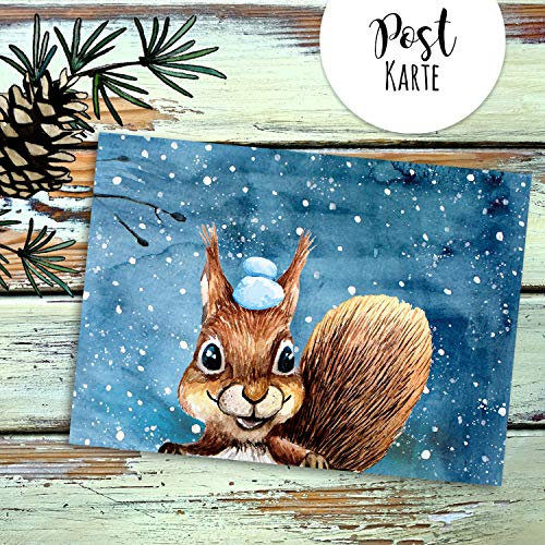 ilka parey wandtattoo-welt A6 Weihnachtskarte Postkarte Print Eichhörnchen mit Schnee im Winterabend Grußkarte Karte pk209