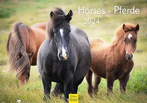 Edition Seidel Premium Kalender Pferde 2024 Format DIN A3 Wandkalender Wandkalender Pferdekalender Tiere Pony Stute Hengst Fohlen Weide Koppel