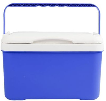 frigorifero per auto, 6 l, termoisolante, da viaggio, frigorifero portatile compatto per viaggi in spiaggia, frigorifero da campeggio per auto, frigorifero per auto