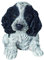 Vivid Arts Pet Pals PP-CKBK-F Dekofigur für Haus oder Garten, Motiv Cocker Spaniel, Schwarz / Weiß