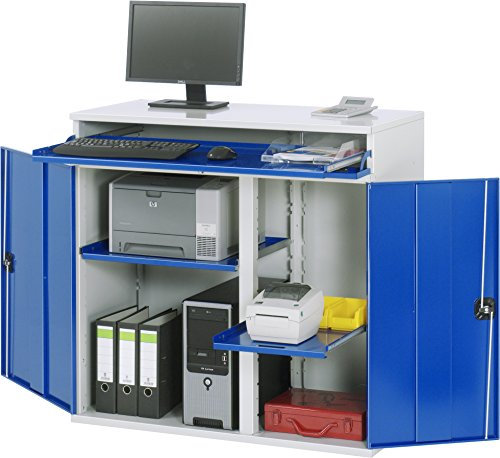 Rau Computer-Schrank, Metall, Lichtgrau/Enzianblau, 80 X 80 X 80 Cm