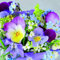 20 Napkins Pansy and Forget Me Not as Table Decoration for Spring 33 x 33 cm