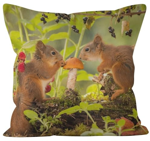 Ethereval Leinen Kissenbezügegarten Kissenhülle Abstrakt 1Pcs, Eichhörnchen Kissenbezüge Aesthetic Kissenbezug Sitzbank Premiumtouch-Kissenbezüge 40x40cm