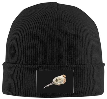 Beanie Winter Mütze Trauernde Taube Beanie Slouch, Mehrweg Winter Mütze Laufmützen Für Sports Herren Skifahren
