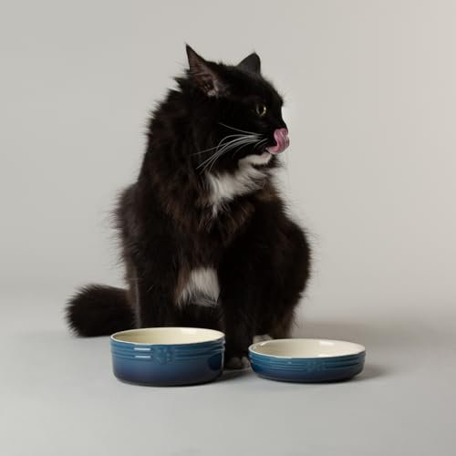 Scruffs Ombre 2pc Cermaic Cat Food & Drink Bowl Set - Blue