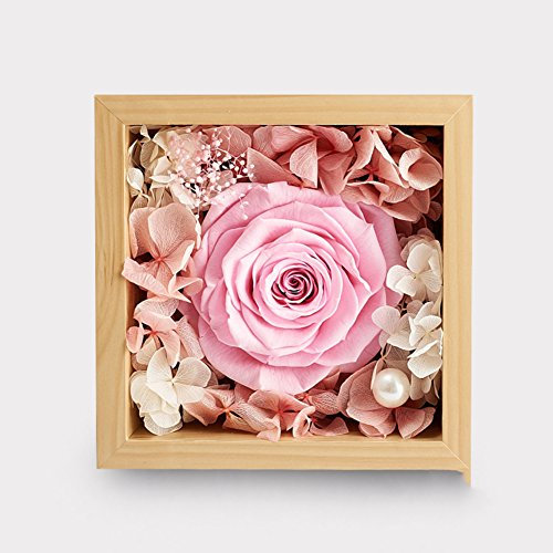 Ewige Blume Geschenkkarton/Rose Glas Music Box/Geburtstagsgeschenk-I