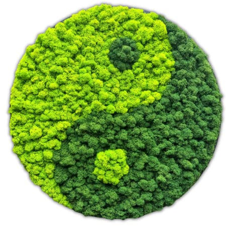 LasDecorias Moosbild Rund Deko Wanddeko Pflanzen Wand Wandbegrünung Wandbilder Moos Wand Wandschmuck Moosbilder Lebend Konserviert 50 cm Yin Yang Grün