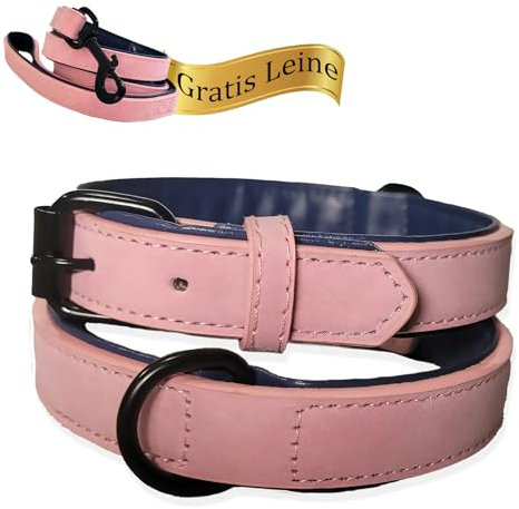 LUCON Hundehalsband mit Leine in rosa im Set Halsband für Welpen kleine und mittelgroße Hunde Lederhalsband gepolstert Leder Hundeleine mit starken Karabiener und Schlaufe