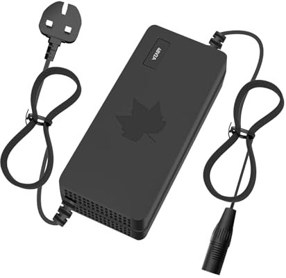 Yasco Li - Cargador de batería multi – Plug e – Bike Scooter e – Bike Barco Moto xiaomi cargador de batería (58,8 V 4 A)