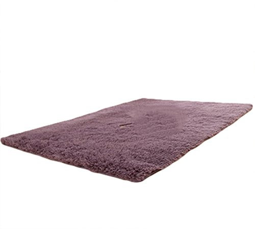 Liveinu Tappeto Shaggy Rettangolo Tappeti Soggiorno Pelo Lungo Antiscivolo Lavabili Moderni Moquette 80x200cm Viola